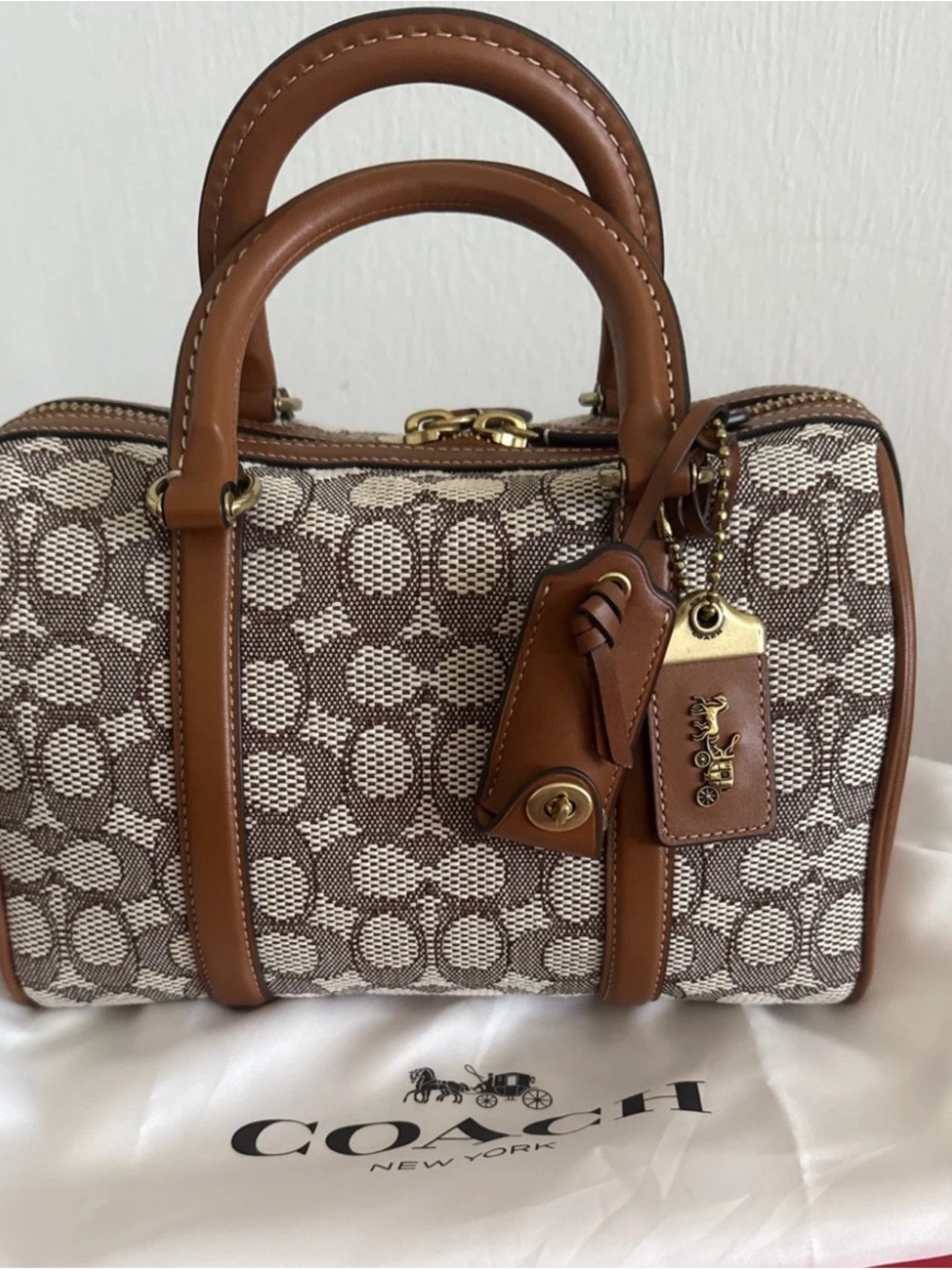 NWT Coach RUBY SATCHEL 25